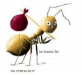 /album/galerie-de-photos-galerie-photos/fourmis-projet-2-jpg1/